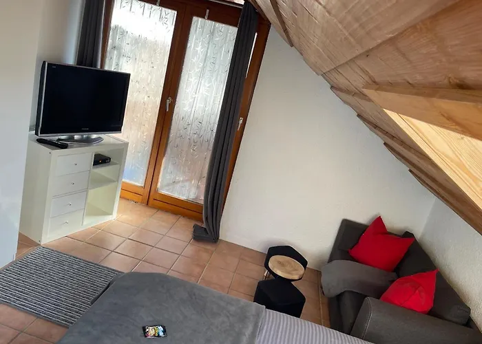 Birkensteiner Sonnenblick شقة فيشباكاو