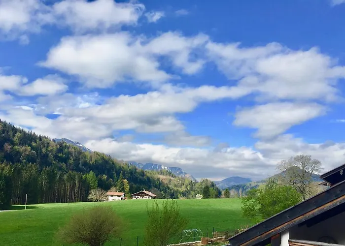 Birkensteiner Sonnenblick *